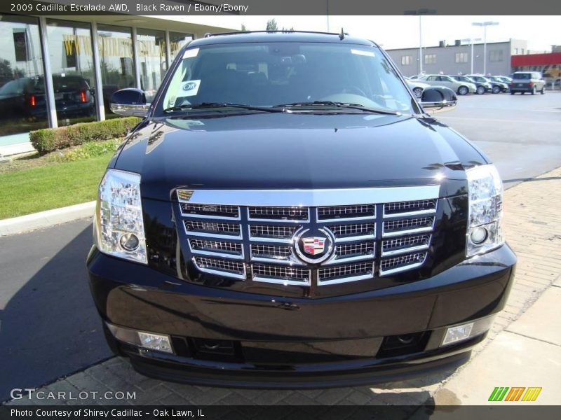 Black Raven / Ebony/Ebony 2009 Cadillac Escalade AWD