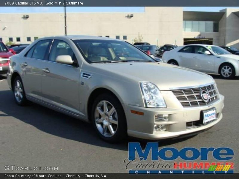 Gold Mist / Cashmere 2009 Cadillac STS V8