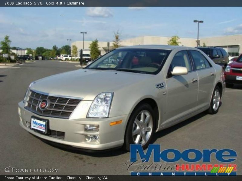 Gold Mist / Cashmere 2009 Cadillac STS V8