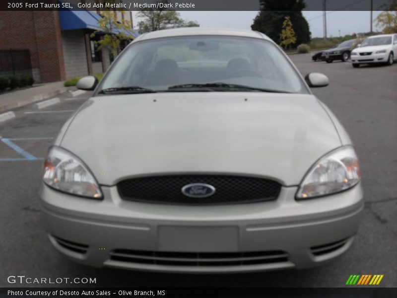 Gold Ash Metallic / Medium/Dark Pebble 2005 Ford Taurus SEL