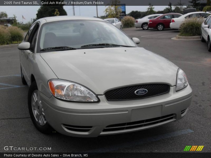 Gold Ash Metallic / Medium/Dark Pebble 2005 Ford Taurus SEL