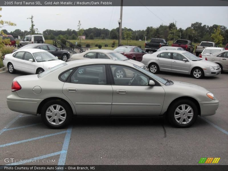 Gold Ash Metallic / Medium/Dark Pebble 2005 Ford Taurus SEL