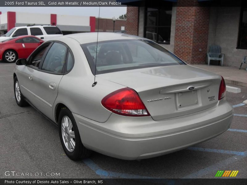Gold Ash Metallic / Medium/Dark Pebble 2005 Ford Taurus SEL