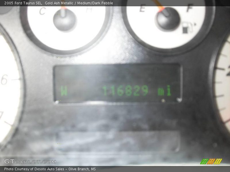 Gold Ash Metallic / Medium/Dark Pebble 2005 Ford Taurus SEL