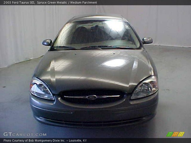 Spruce Green Metallic / Medium Parchment 2003 Ford Taurus SES