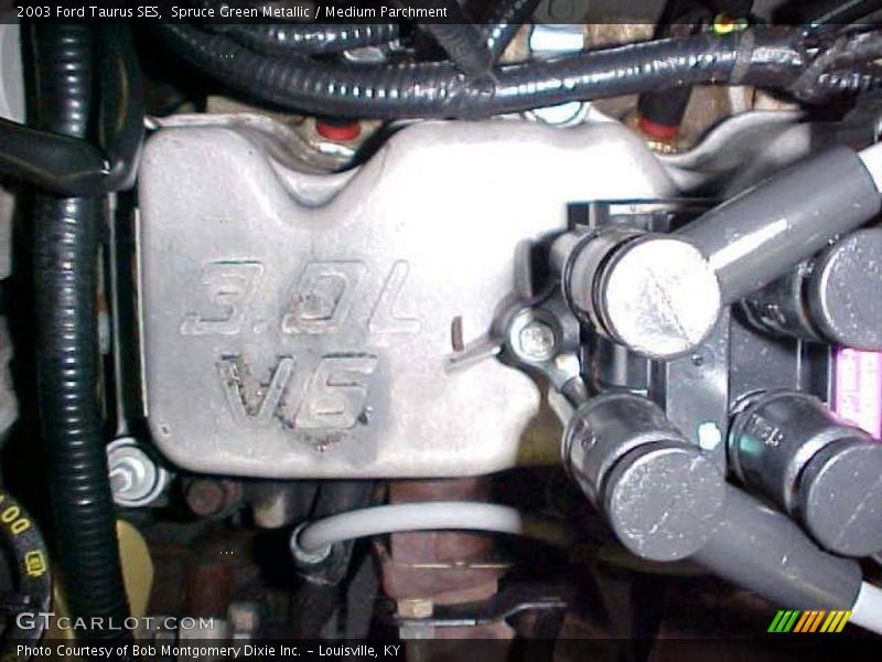 Spruce Green Metallic / Medium Parchment 2003 Ford Taurus SES