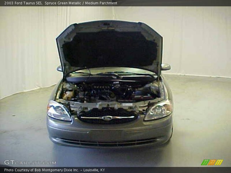 Spruce Green Metallic / Medium Parchment 2003 Ford Taurus SES