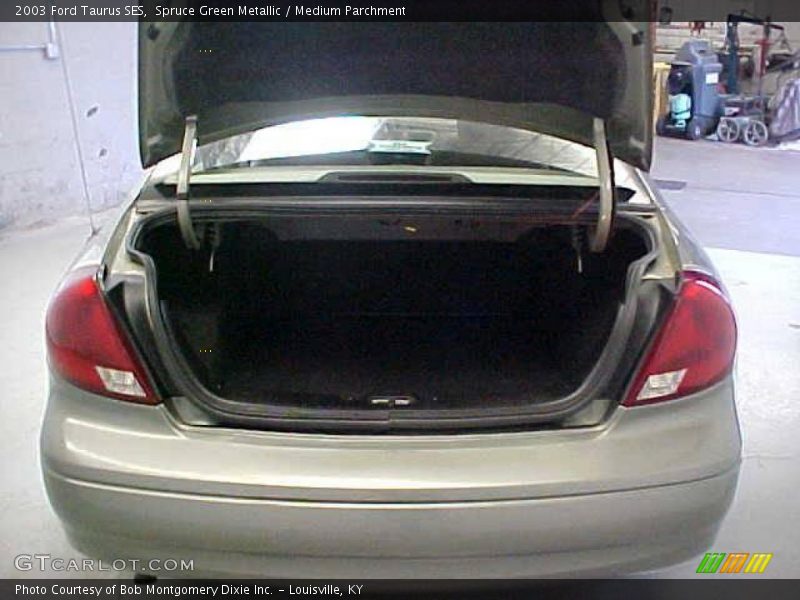 Spruce Green Metallic / Medium Parchment 2003 Ford Taurus SES