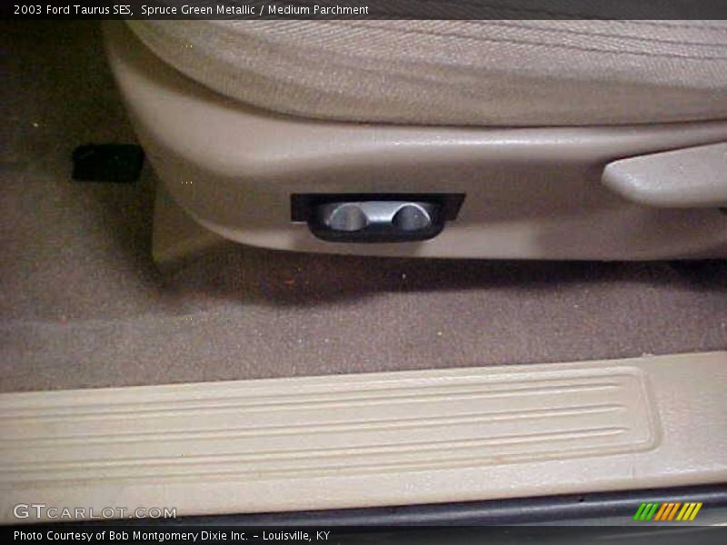 Spruce Green Metallic / Medium Parchment 2003 Ford Taurus SES