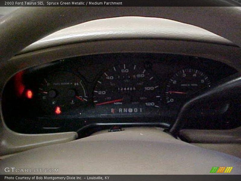 Spruce Green Metallic / Medium Parchment 2003 Ford Taurus SES