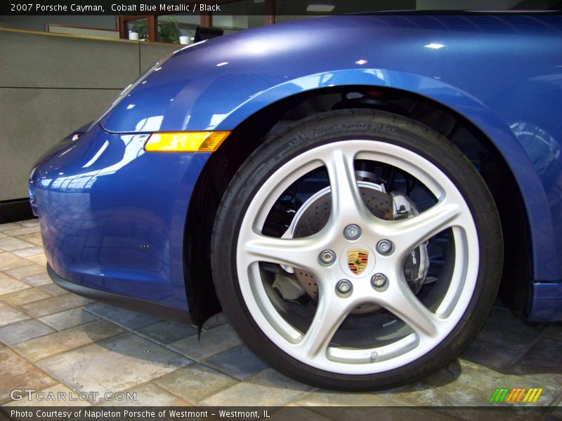 Cobalt Blue Metallic / Black 2007 Porsche Cayman