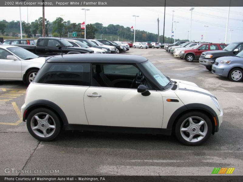 Pepper White / Panther Black 2002 Mini Cooper Hardtop