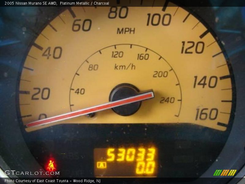 Platinum Metallic / Charcoal 2005 Nissan Murano SE AWD