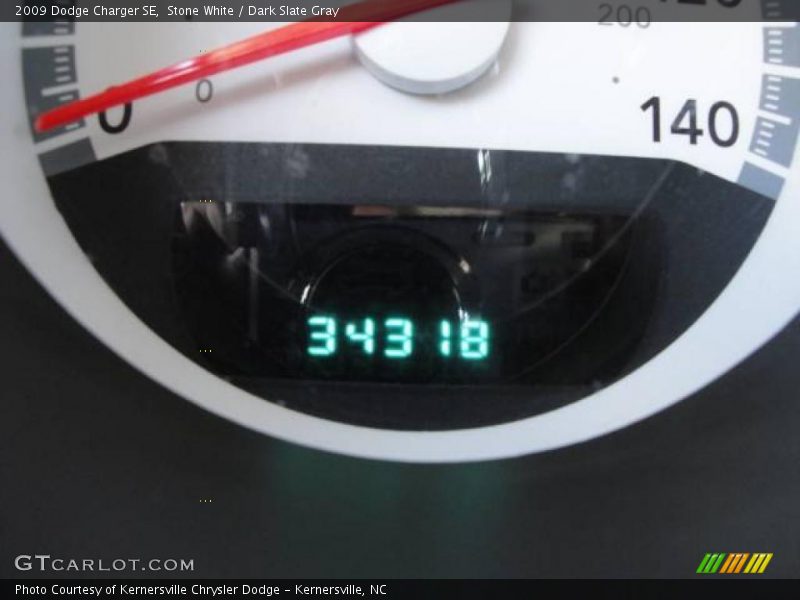 Stone White / Dark Slate Gray 2009 Dodge Charger SE