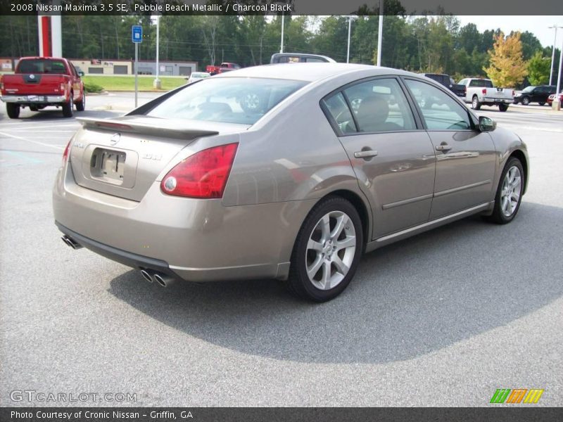 Pebble Beach Metallic / Charcoal Black 2008 Nissan Maxima 3.5 SE