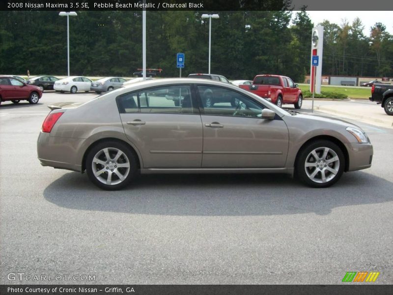 Pebble Beach Metallic / Charcoal Black 2008 Nissan Maxima 3.5 SE