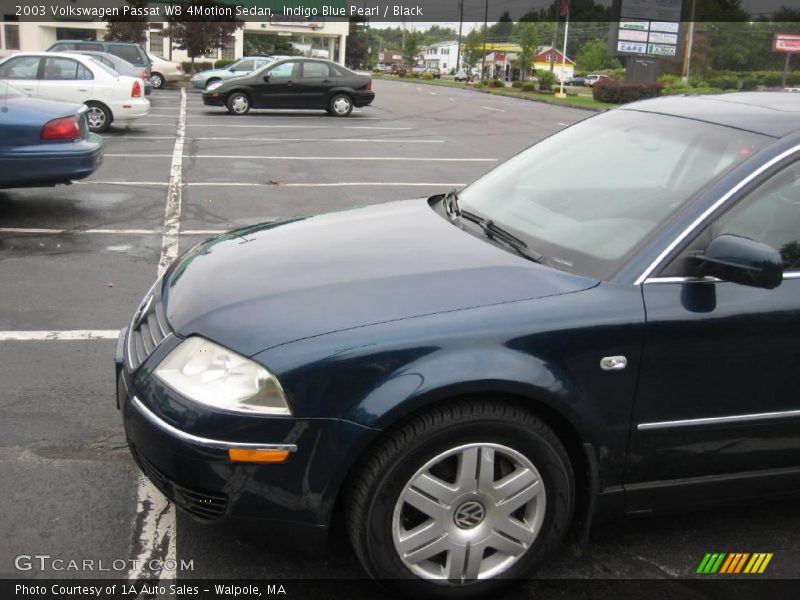 Indigo Blue Pearl / Black 2003 Volkswagen Passat W8 4Motion Sedan