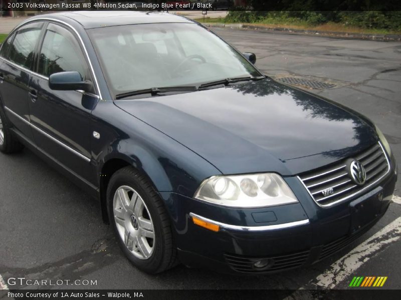 Indigo Blue Pearl / Black 2003 Volkswagen Passat W8 4Motion Sedan