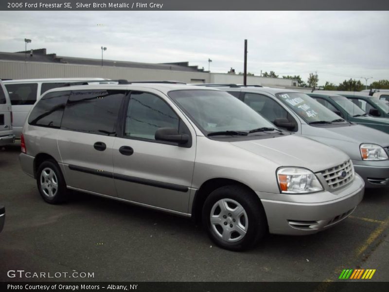 Silver Birch Metallic / Flint Grey 2006 Ford Freestar SE