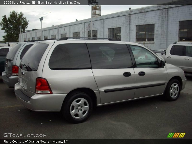 Silver Birch Metallic / Flint Grey 2006 Ford Freestar SE