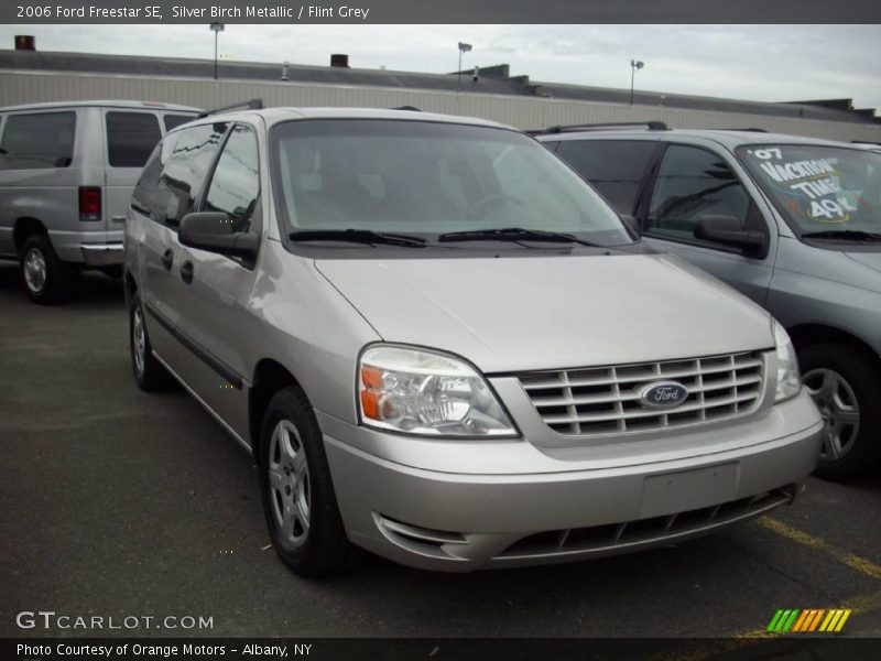 Silver Birch Metallic / Flint Grey 2006 Ford Freestar SE