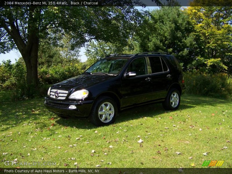 Black / Charcoal 2004 Mercedes-Benz ML 350 4Matic