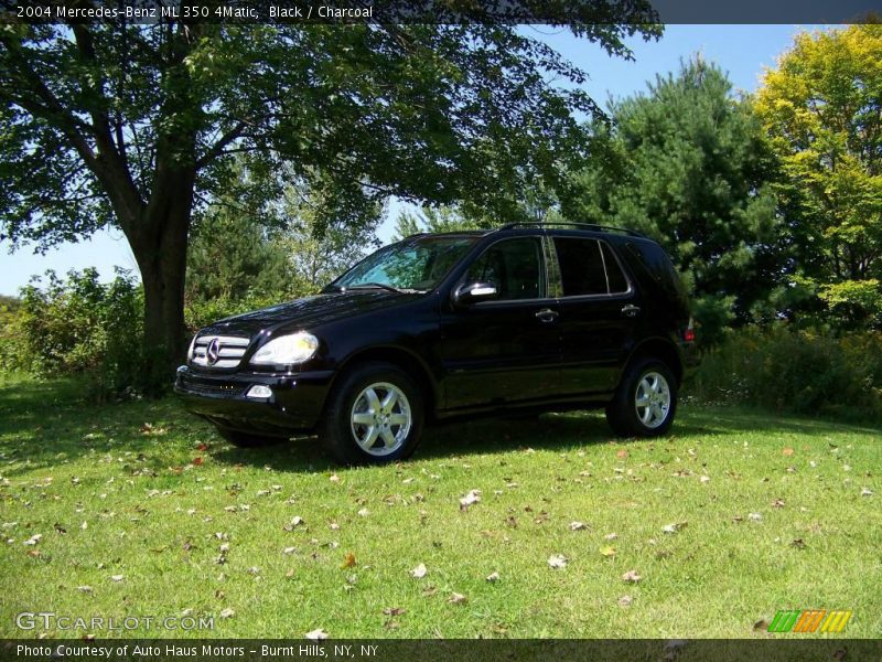 Black / Charcoal 2004 Mercedes-Benz ML 350 4Matic