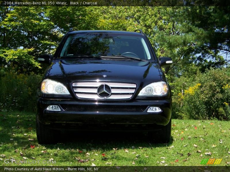 Black / Charcoal 2004 Mercedes-Benz ML 350 4Matic