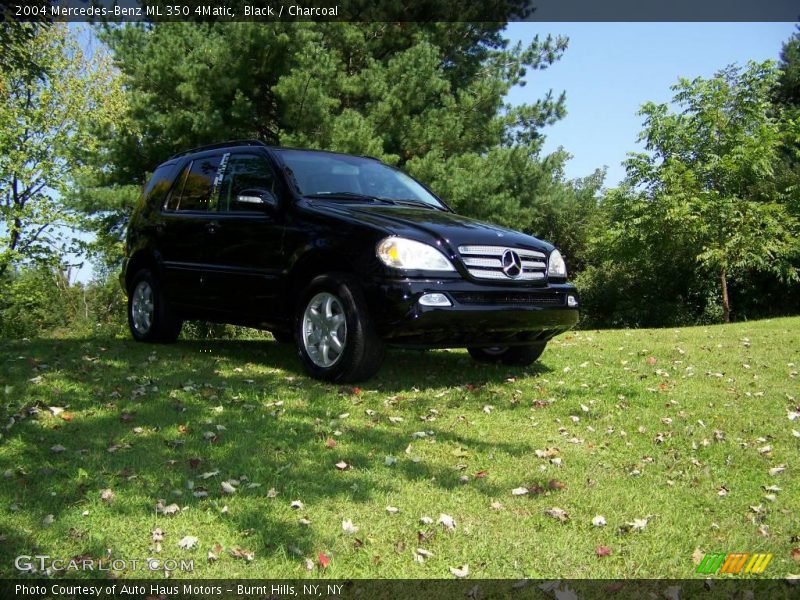 Black / Charcoal 2004 Mercedes-Benz ML 350 4Matic