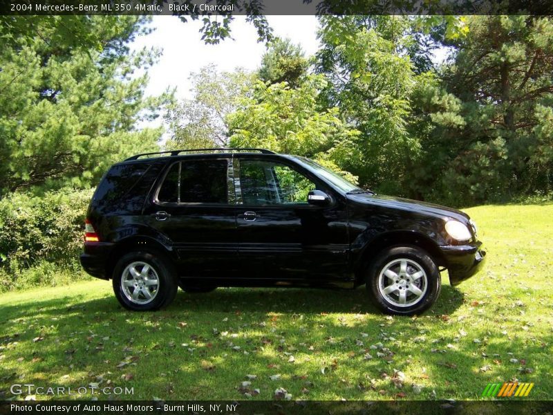 Black / Charcoal 2004 Mercedes-Benz ML 350 4Matic