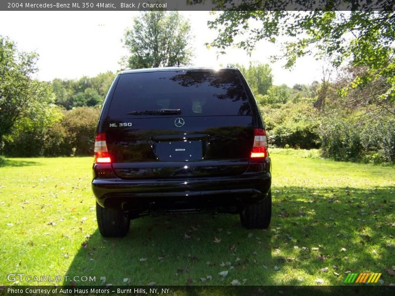 Black / Charcoal 2004 Mercedes-Benz ML 350 4Matic