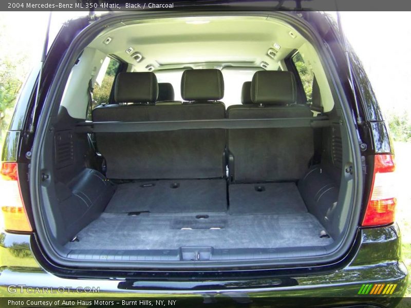 Black / Charcoal 2004 Mercedes-Benz ML 350 4Matic