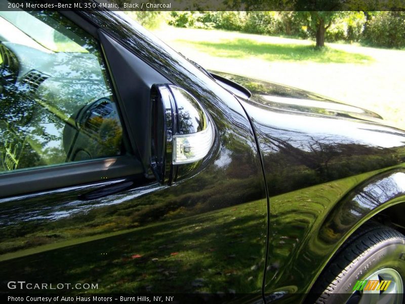 Black / Charcoal 2004 Mercedes-Benz ML 350 4Matic