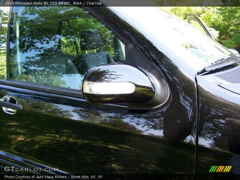 Black / Charcoal 2004 Mercedes-Benz ML 350 4Matic