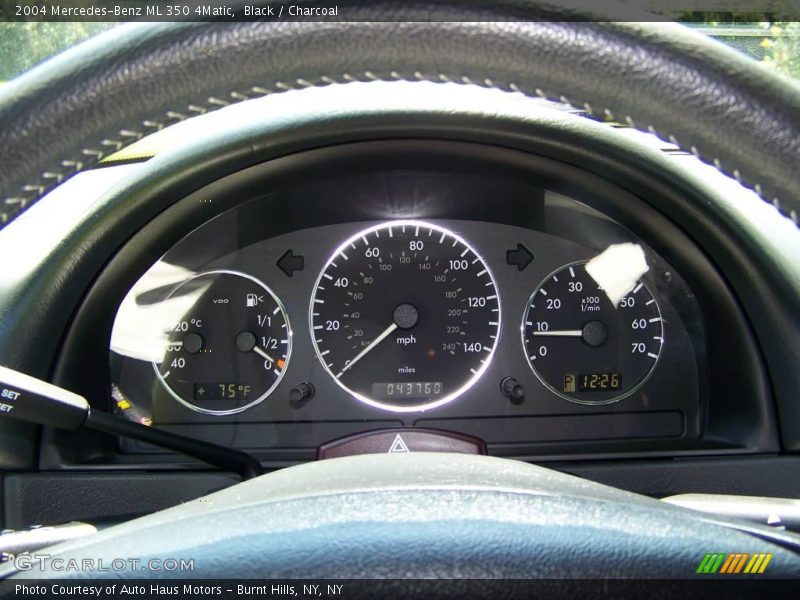 Black / Charcoal 2004 Mercedes-Benz ML 350 4Matic