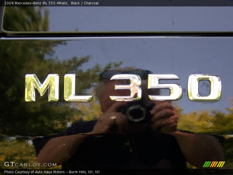 Black / Charcoal 2004 Mercedes-Benz ML 350 4Matic