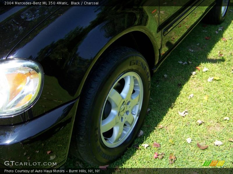 Black / Charcoal 2004 Mercedes-Benz ML 350 4Matic