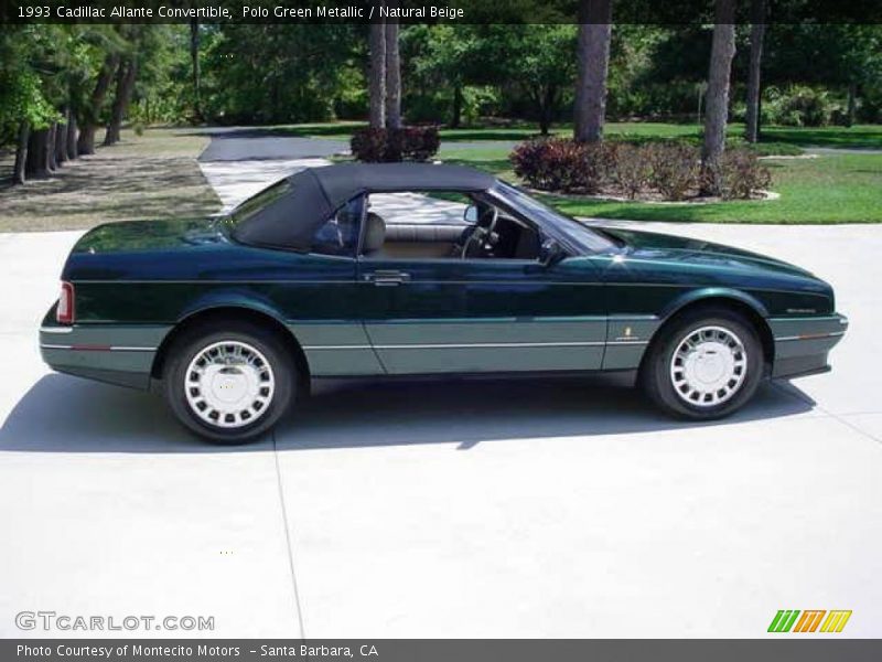 Polo Green Metallic / Natural Beige 1993 Cadillac Allante Convertible