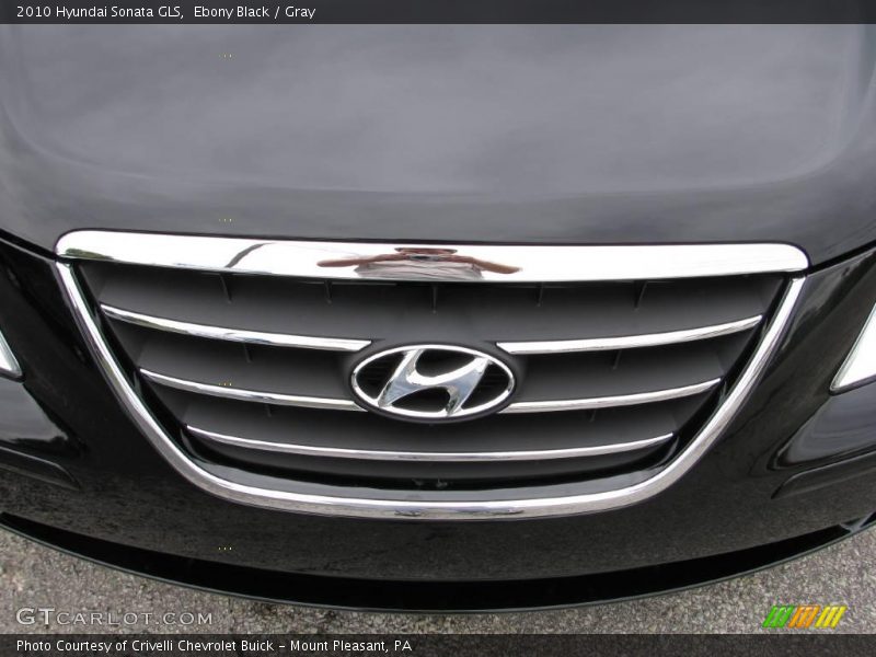 Ebony Black / Gray 2010 Hyundai Sonata GLS