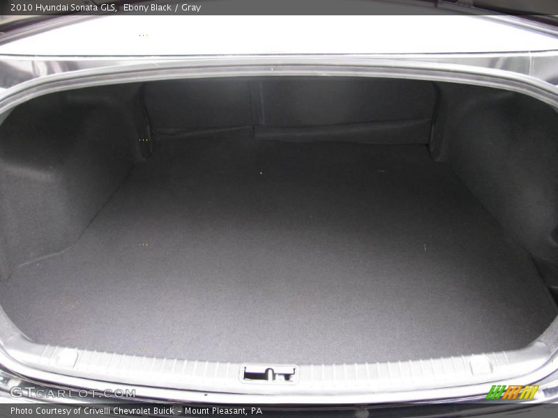 Ebony Black / Gray 2010 Hyundai Sonata GLS