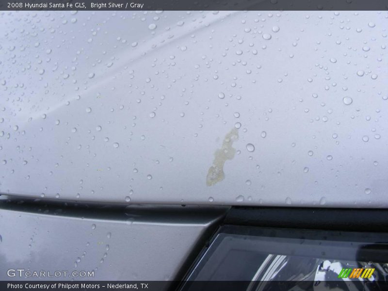 Bright Silver / Gray 2008 Hyundai Santa Fe GLS