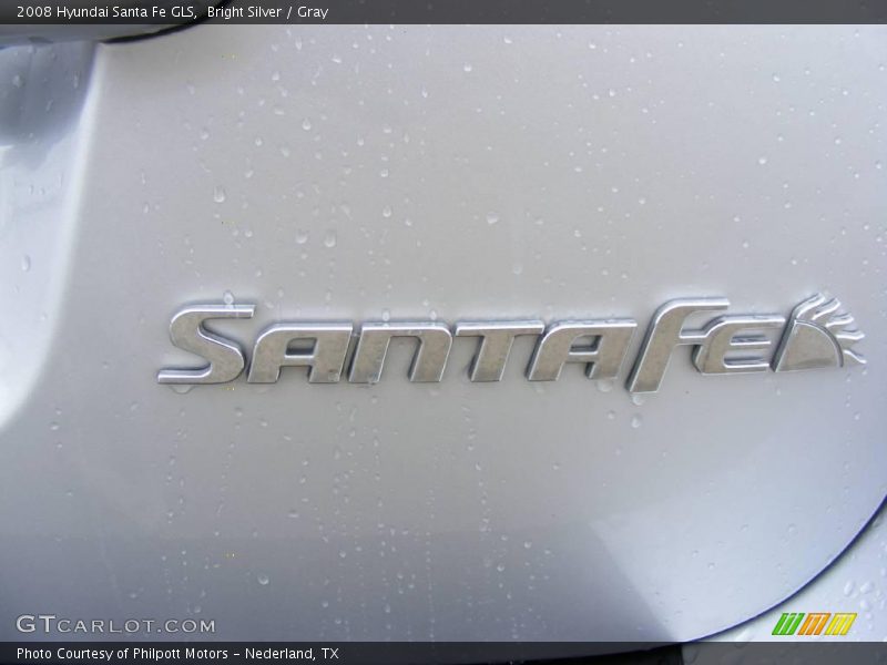 Bright Silver / Gray 2008 Hyundai Santa Fe GLS