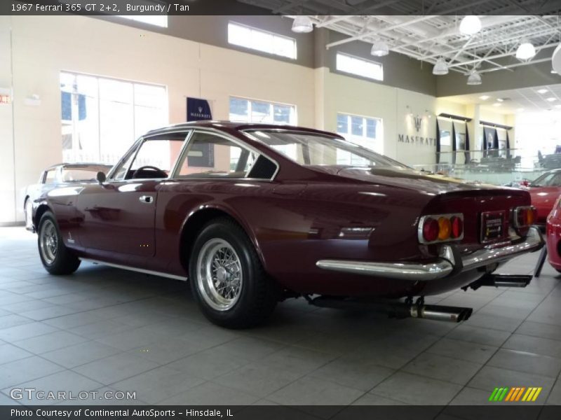 Burgundy / Tan 1967 Ferrari 365 GT 2+2