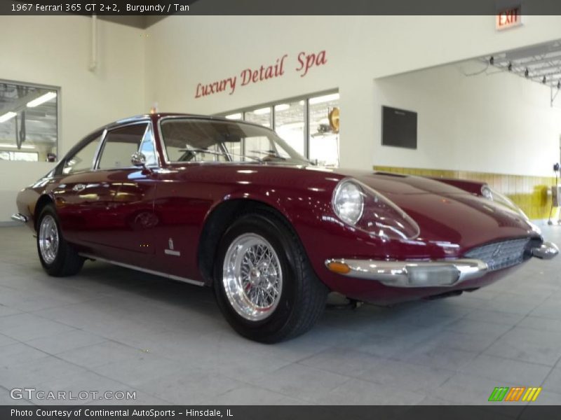 Burgundy / Tan 1967 Ferrari 365 GT 2+2