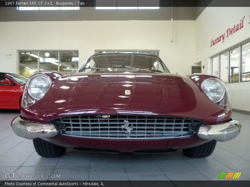 Burgundy / Tan 1967 Ferrari 365 GT 2+2