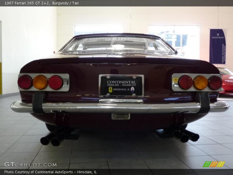 Burgundy / Tan 1967 Ferrari 365 GT 2+2