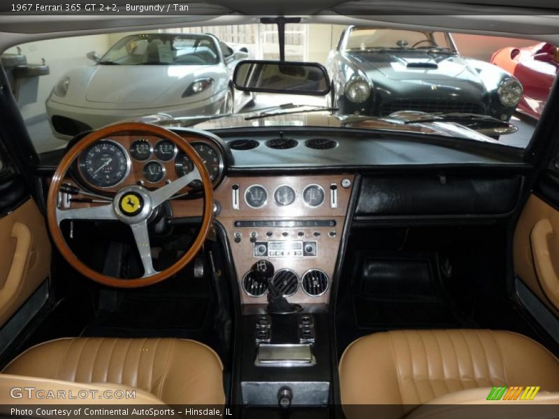Burgundy / Tan 1967 Ferrari 365 GT 2+2