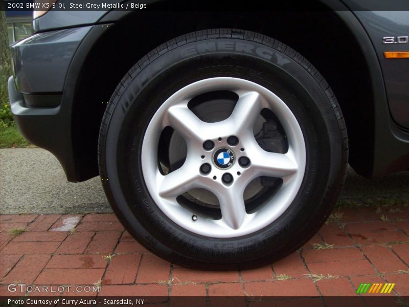 Steel Grey Metallic / Beige 2002 BMW X5 3.0i