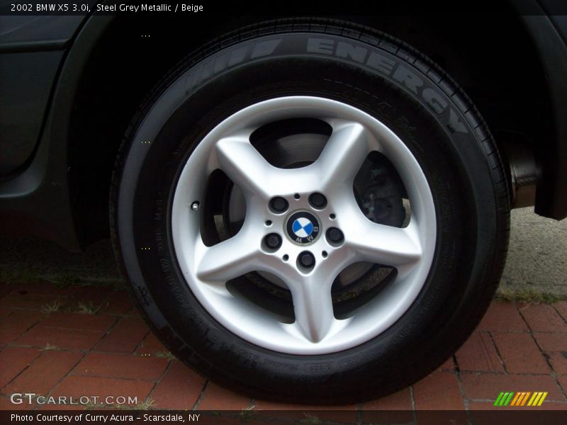Steel Grey Metallic / Beige 2002 BMW X5 3.0i