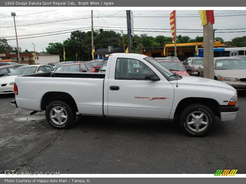 Bright White / Agate 1999 Dodge Dakota Sport Regular Cab